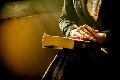 Book, Woman, Hands, Reflecting, Bible